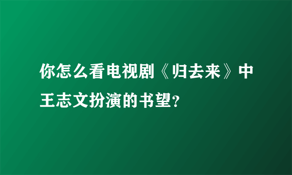 你怎么看电视剧《归去来》中王志文扮演的书望？