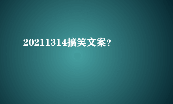 20211314搞笑文案？