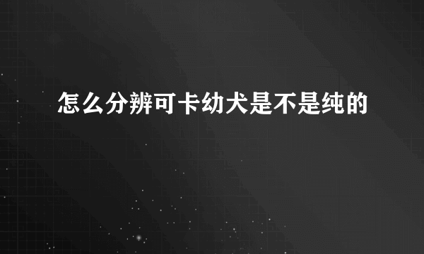 怎么分辨可卡幼犬是不是纯的