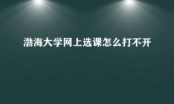 渤海大学网上选课怎么打不开