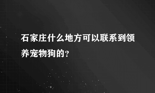 石家庄什么地方可以联系到领养宠物狗的？