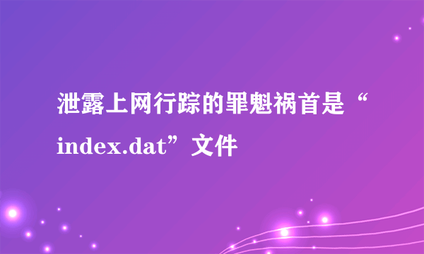 泄露上网行踪的罪魁祸首是“index.dat”文件