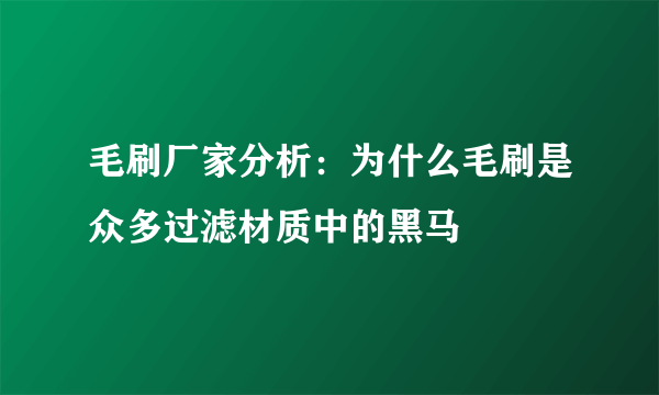 毛刷厂家分析：为什么毛刷是众多过滤材质中的黑马