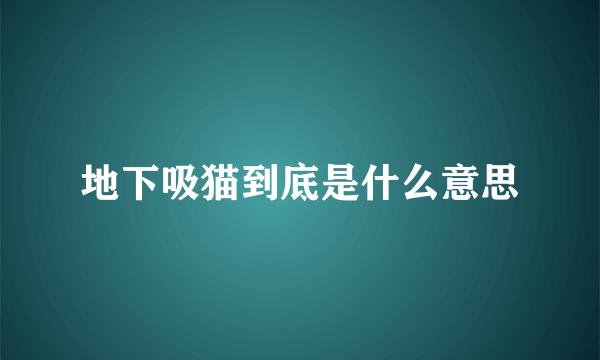 地下吸猫到底是什么意思