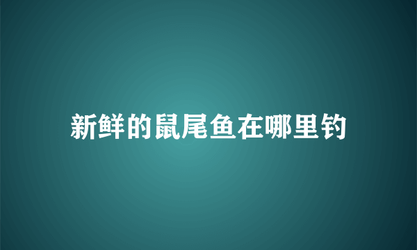 新鲜的鼠尾鱼在哪里钓