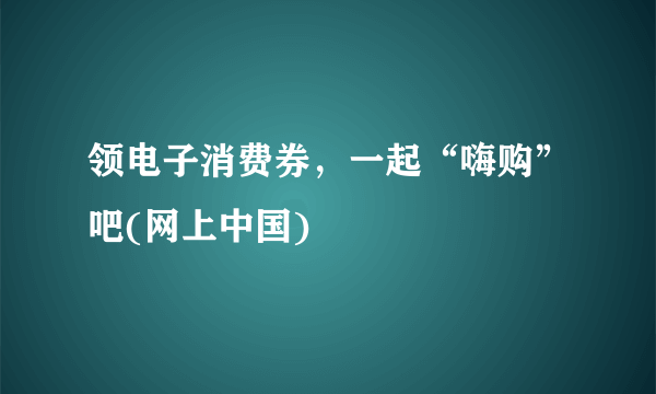 领电子消费券，一起“嗨购”吧(网上中国)