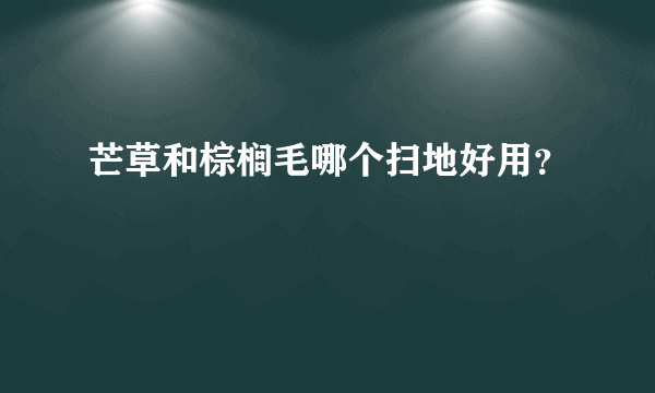 芒草和棕榈毛哪个扫地好用？