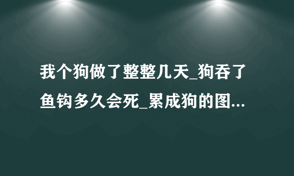 我个狗做了整整几天_狗吞了鱼钩多久会死_累成狗的图片-飞外网