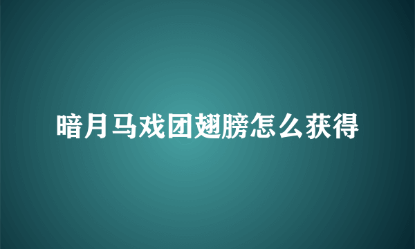 暗月马戏团翅膀怎么获得