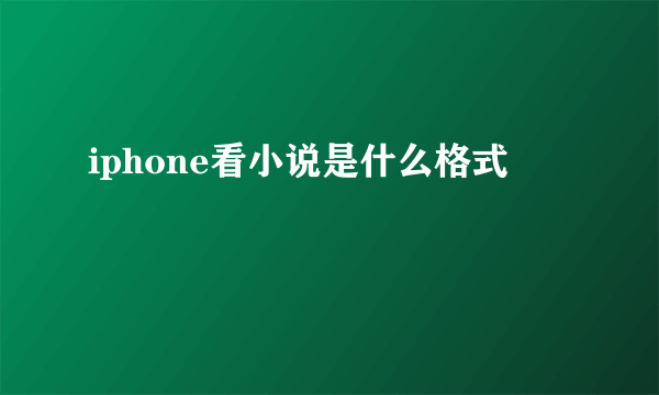 iphone看小说是什么格式