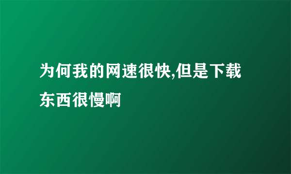 为何我的网速很快,但是下载东西很慢啊