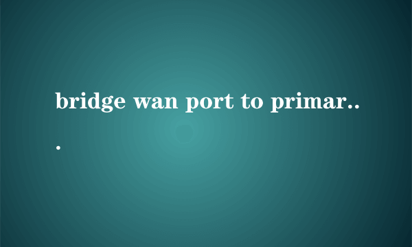 bridge wan port to primary lan 是什么意思