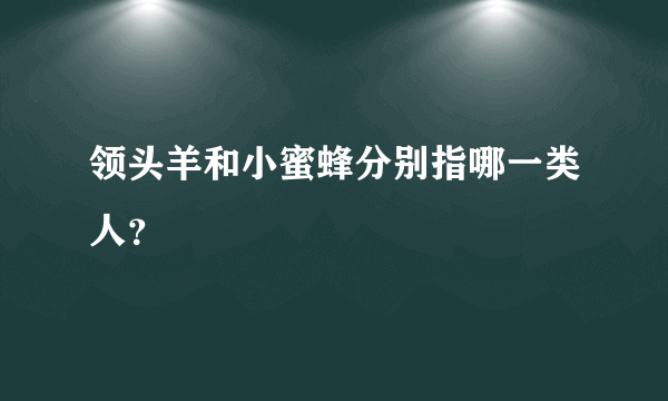 领头羊和小蜜蜂分别指哪一类人？