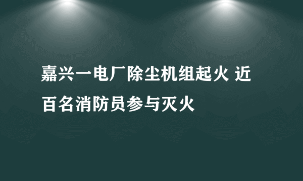 嘉兴一电厂除尘机组起火 近百名消防员参与灭火