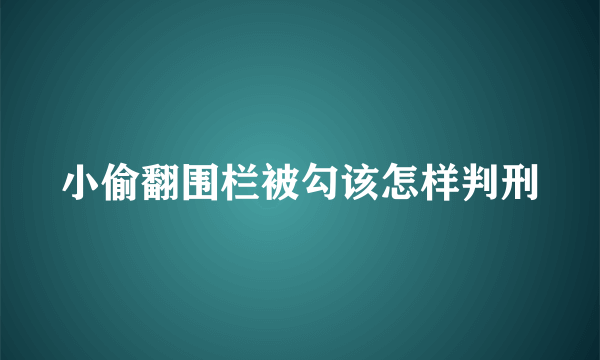 小偷翻围栏被勾该怎样判刑