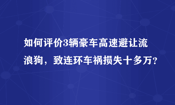 如何评价3辆豪车高速避让流浪狗，致连环车祸损失十多万？