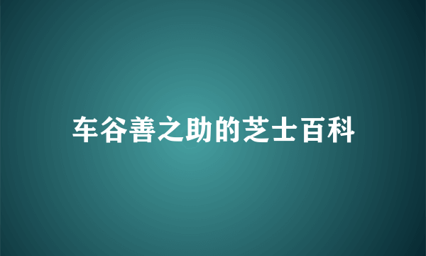 车谷善之助的芝士百科