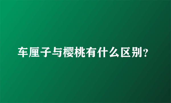 车厘子与樱桃有什么区别？