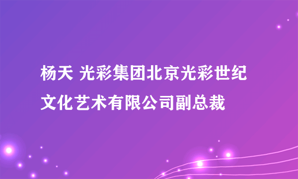 杨天 光彩集团北京光彩世纪文化艺术有限公司副总裁