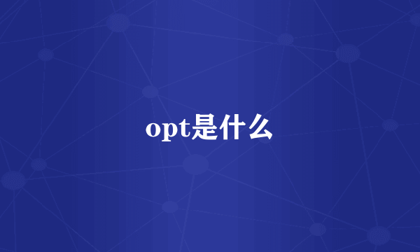 opt是什么