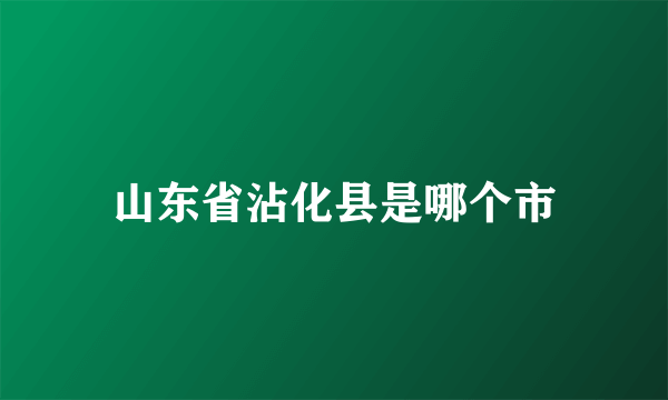 山东省沾化县是哪个市