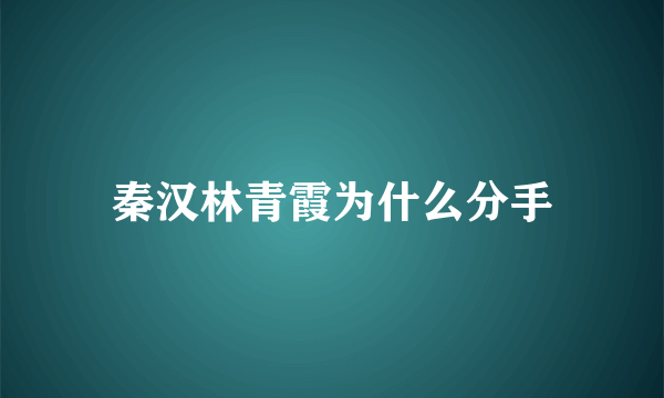 秦汉林青霞为什么分手