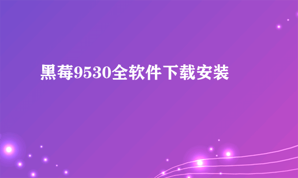 黑莓9530全软件下载安装