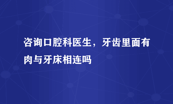 咨询口腔科医生，牙齿里面有肉与牙床相连吗