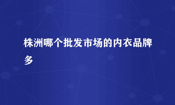 株洲哪个批发市场的内衣品牌多