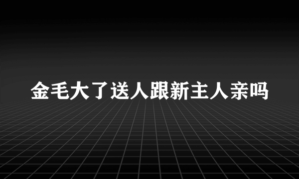 金毛大了送人跟新主人亲吗