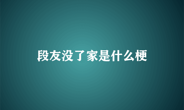 段友没了家是什么梗