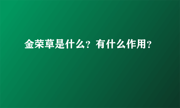 金荣草是什么？有什么作用？