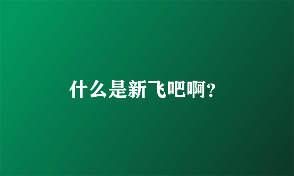 什么是新飞吧啊？