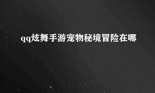 qq炫舞手游宠物秘境冒险在哪