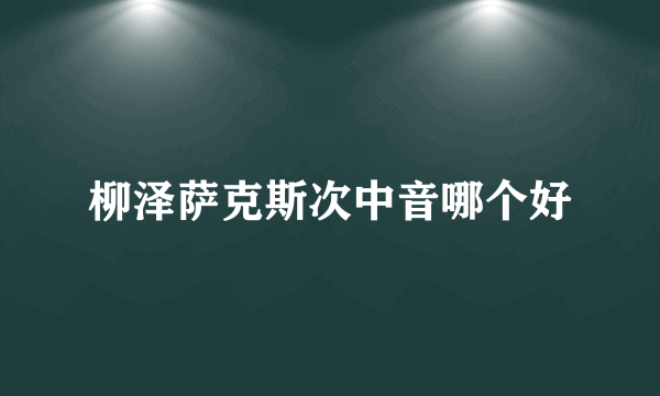 柳泽萨克斯次中音哪个好