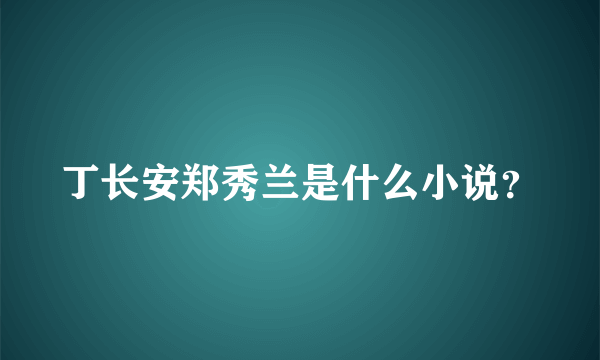 丁长安郑秀兰是什么小说？