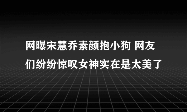 网曝宋慧乔素颜抱小狗 网友们纷纷惊叹女神实在是太美了