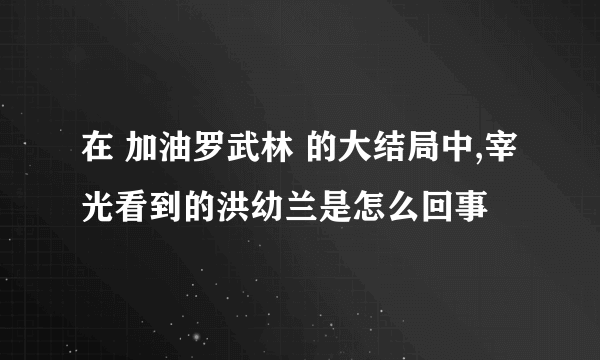 在 加油罗武林 的大结局中,宰光看到的洪幼兰是怎么回事