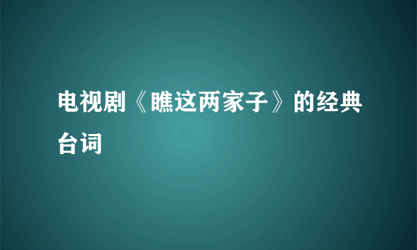 电视剧《瞧这两家子》的经典台词