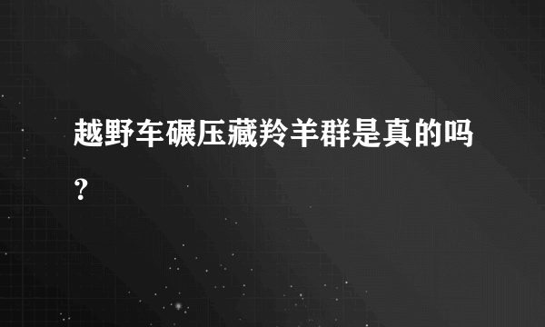 越野车碾压藏羚羊群是真的吗？