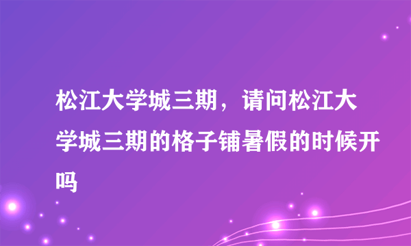 松江大学城三期，请问松江大学城三期的格子铺暑假的时候开吗