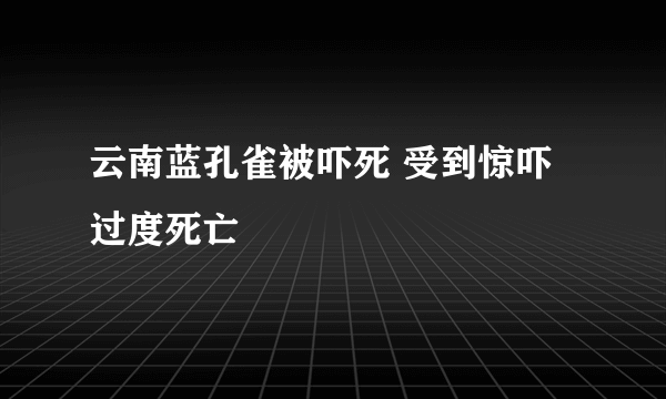 云南蓝孔雀被吓死 受到惊吓过度死亡