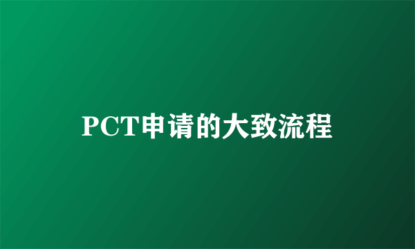 PCT申请的大致流程