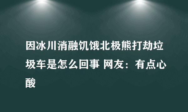 因冰川消融饥饿北极熊打劫垃圾车是怎么回事 网友：有点心酸