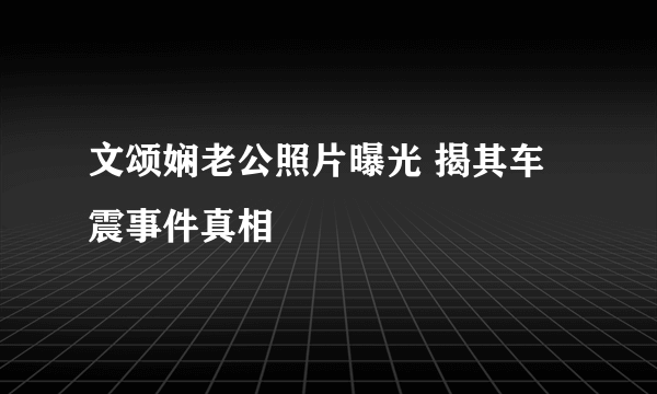 文颂娴老公照片曝光 揭其车震事件真相