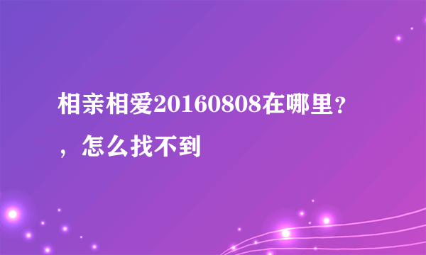 相亲相爱20160808在哪里？，怎么找不到