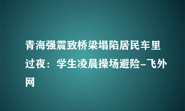 青海强震致桥梁塌陷居民车里过夜：学生凌晨操场避险-飞外网