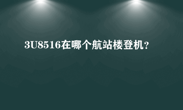 3U8516在哪个航站楼登机？