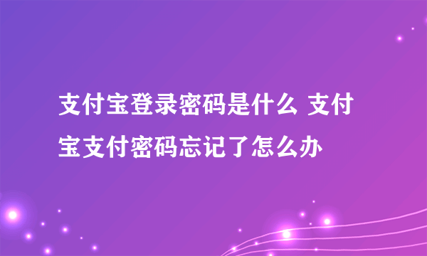 支付宝登录密码是什么 支付宝支付密码忘记了怎么办