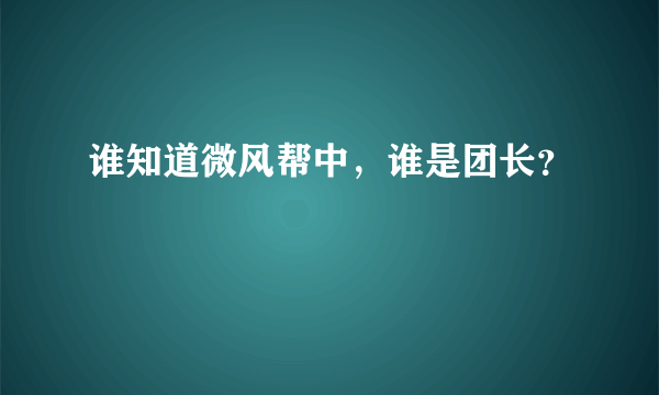 谁知道微风帮中，谁是团长？